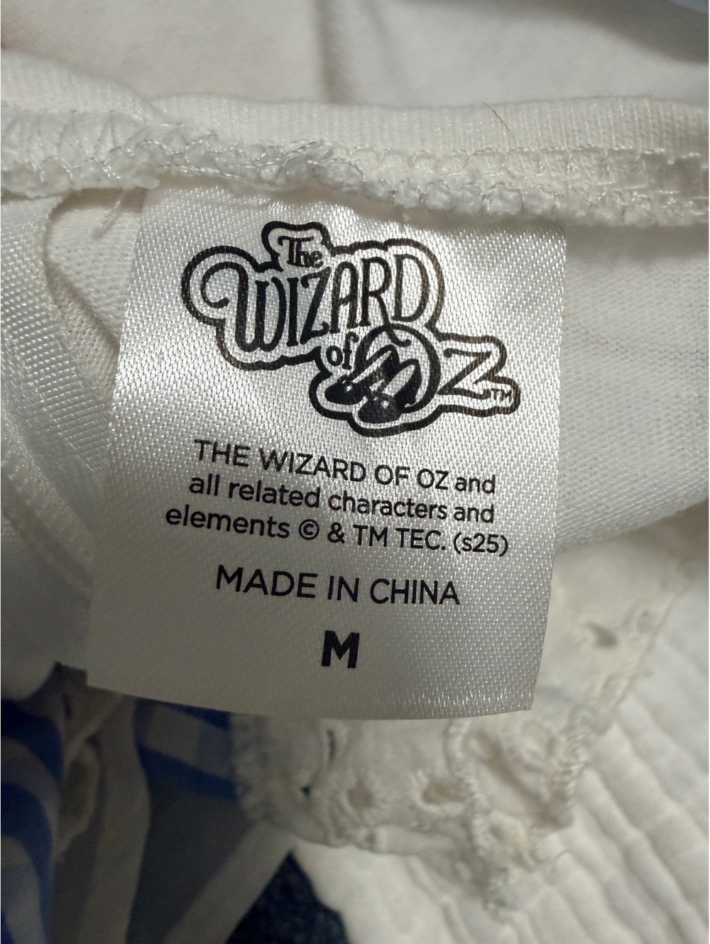 The Wizard of Oz Blue Gingham Dress with Red Bow and Lace Trim, Childs M - Picture 2 of 14
